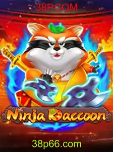 NinjaRaccoon